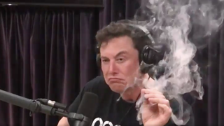 Elon Musk tanks Tesla stock price, pisses off Grimes with latest Twitter meltdown